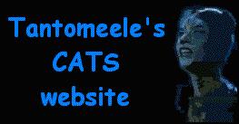 Tantomeele's Cats Website